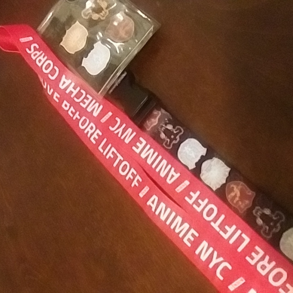 lanyard keychain